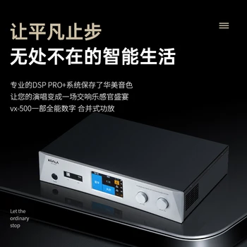 Nový VX-300/VX-500 karaoke zosilňovač domov KTV high-power digitálny zosilňovač pred a po kombinovaný stroj.